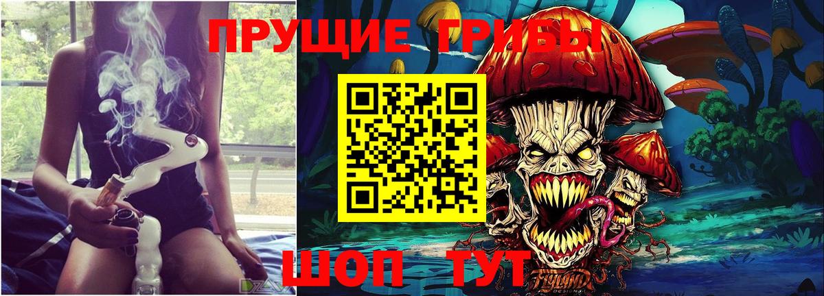 Галлюциногенные грибы Psilocybine cubensis Еманжелинск