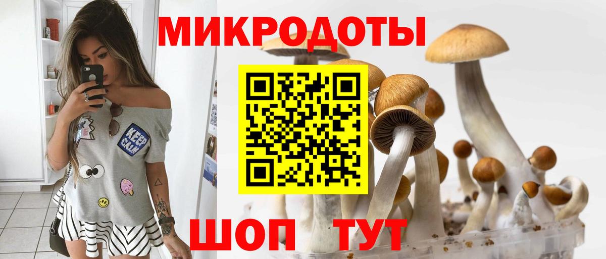 Галлюциногенные грибы Cubensis  Псилоцибиновые грибы Psilocybe  Еманжелинск  Вход с VPN 